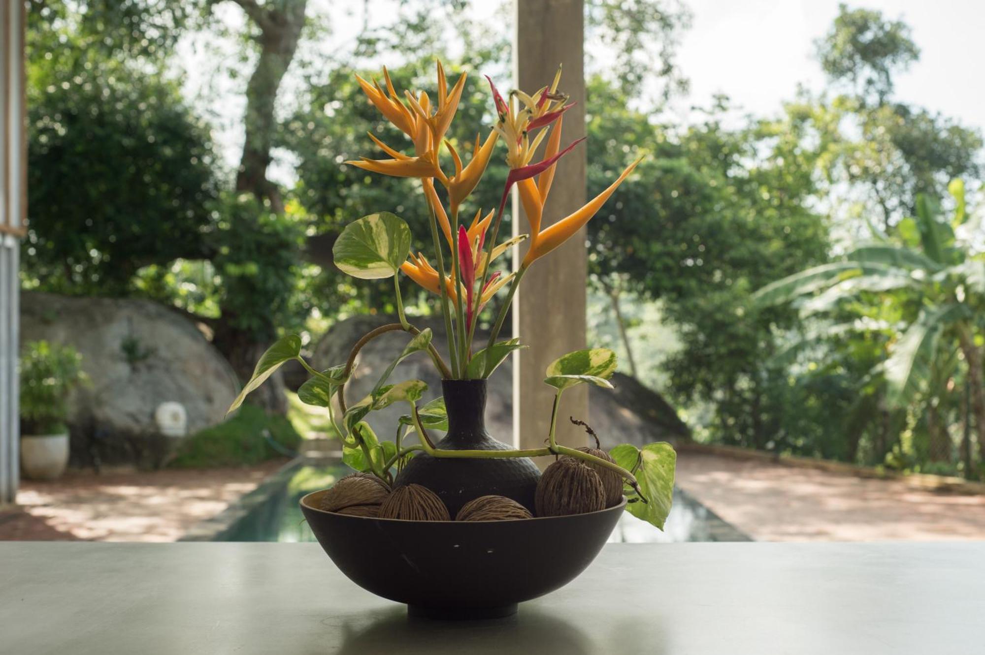 Villa Amma Erna - Galle Ngoại thất bức ảnh